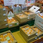 道の駅 柿の郷くどやま - 