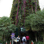 SuperTree by IndoChine - 地上の入り口