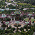 SuperTree by IndoChine - ベイサンズの屋上から