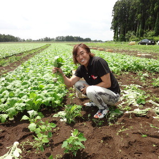 オーナーシェフ渡邊明自ら自信を持ってお野菜を選びます。