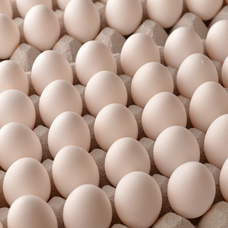 こだわりぬいた安心・安全の食材。