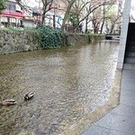 Mexican Dining AVOCADO  - 店の前は、高瀬川