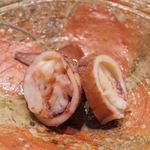 いちかわ - 子持ちのヤリイカ