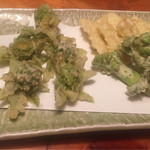 日本料理 樽や - 