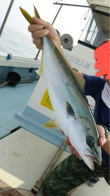 渔家民宿 洸洋庄 - そしてヤズ!