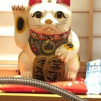 満寿家 - 招いてる～～