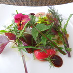 サラマンジェ ド ヨシノ - さよりとわらさのマリネ