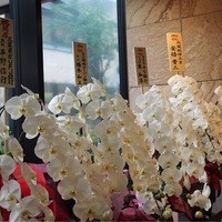横浜 星のなる木 - 