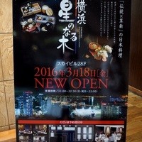 横浜 星のなる木 - 
