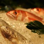 中央市場生猛海鮮 - ショーケース