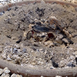 蒜山手打ちそば 叉来 - 