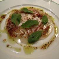 Benoit Alain Ducasse - 