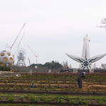 花とみどりの休憩所 - 太陽の塔と建設中の大観覧車