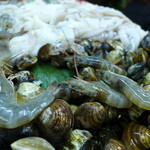 嘉義鮑魚海產粥 - 海老が、飛び跳ねそう！