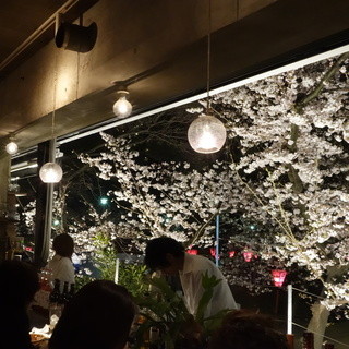 グローブカフェ_2