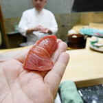 初音鮨 - 本鮪中トロ