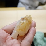 初音鮨 - 真鯛（桜鯛）