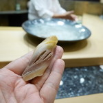 初音鮨 - コハダ