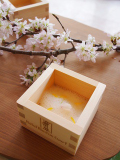 호텔 브레스톤 코토 자 라운지