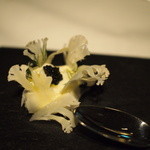 ル・シーニュ - 