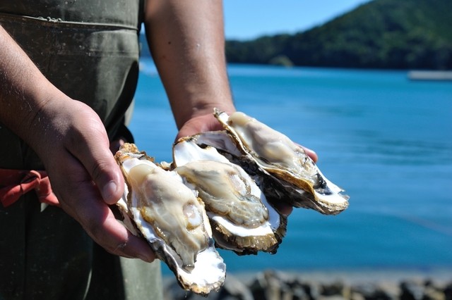 オストラ デ オーレ（Ostra de ole） - 青葉通一番町（かき）の写真