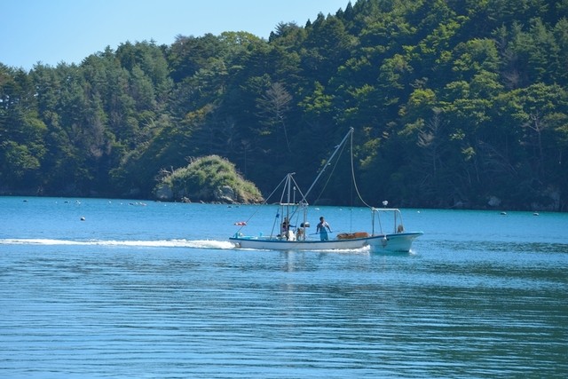 オストラ デ オーレ（Ostra de ole） - 青葉通一番町（かき）の写真