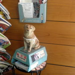 こうかいぼう - 盲導犬の募金箱