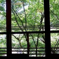 山ばな平八茶屋 - 高野川が見えます。