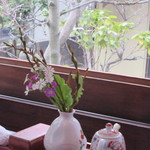 転石 - かわいいねっ！