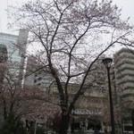 真鯛らーめん 麺魚 - 