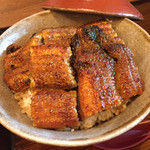 うなぎ家比呂野 - 上うな丼