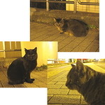 ぬくもりの宿 ふる川 - 