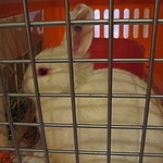 ぬくもりの宿 ふる川 - 