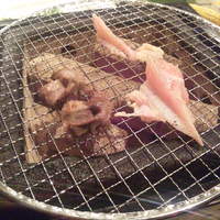 焼鶏あきら 中目黒本店 - ナンコツ