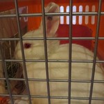 ぬくもりの宿 ふる川 - 