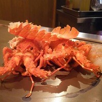 さくら - 