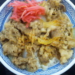 Yoshinoya - 紅しょうが、七味唐辛子　実装