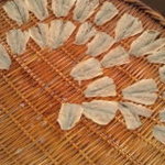 中乃見家 - 出番を待つ新子、３枚づけでドーゾ