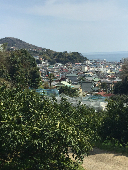 古屋園 name=