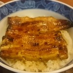 ぎんざ 神田川 - 鰻大丼
            上手く撮れていませんが相応に鰻の大きさはあります