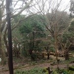 山小屋　佐藤 - 店内より