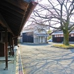 Nakashima Jouzou - 中庭に榎の古木