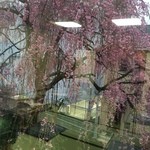 Kanekichi - 桜の見える座敷