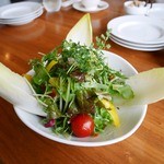 ヨーキーズブランチ - フレッシュサラダ（860円）_2016年3月