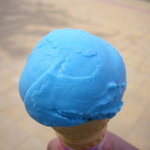 トロピカルハウス - ハワイアンブルー