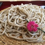 手打蕎麦かとう - 田舎そば（十割）大盛り