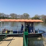 ゴルフバッグを担いで乗船