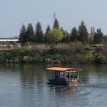 ジャングルクルーズではありませんw