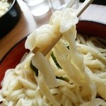 武蔵野うどん きやんち - 【2016.4.2(土)】濃厚豚つけ麺(並盛・430g)680円の麺