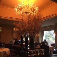 イル・テアトロ - 店内も桜の装飾です